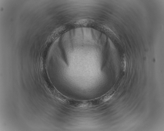 X0000076220504200610191536