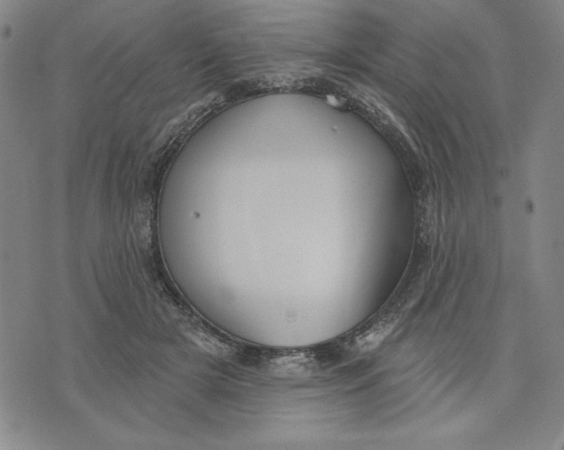 X0000076220505200610191536