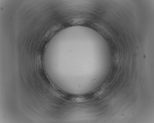 X0000076220506200610191536