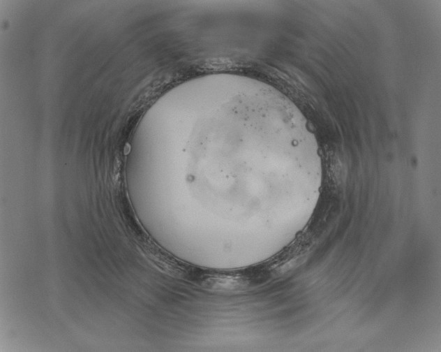 X0000076220507200610191536