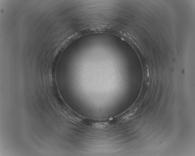 X0000076220508200610191536