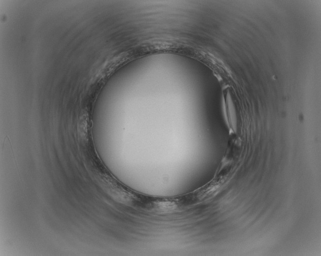 X0000076220509200610191536