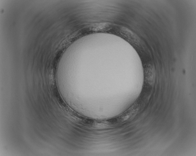 X0000076220510200610191536