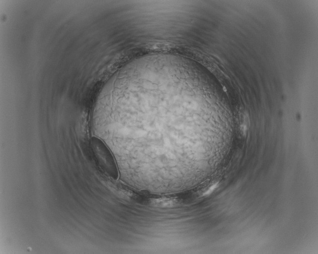 X0000076220511200610191536