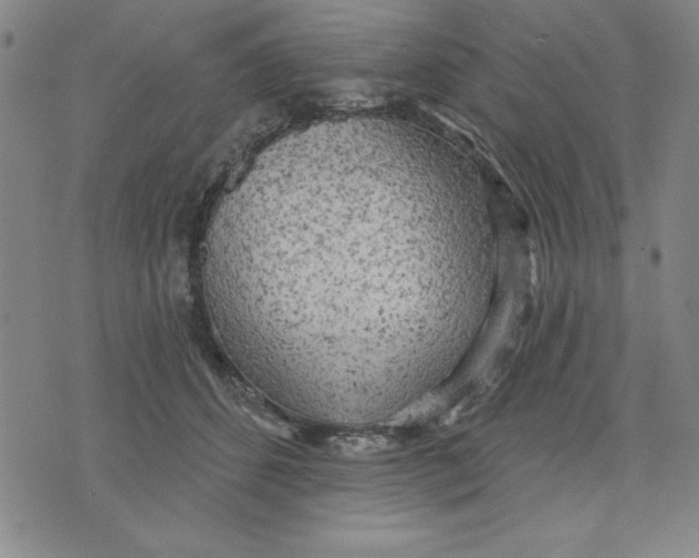 X0000076220512200610191536