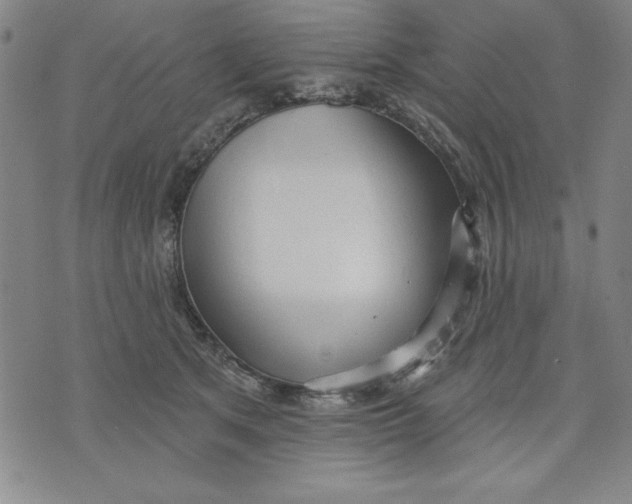 X0000076220513200610191536