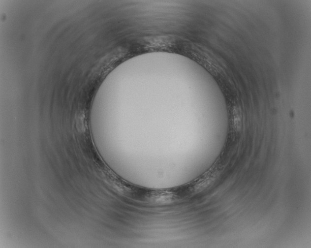 X0000076220514200610191536