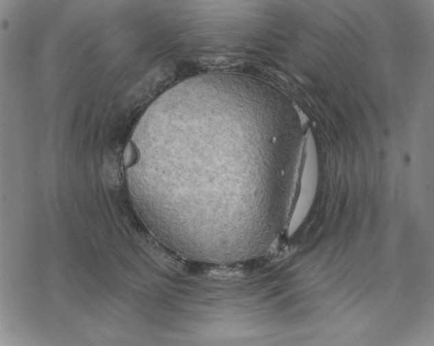 X0000076220515200610191536