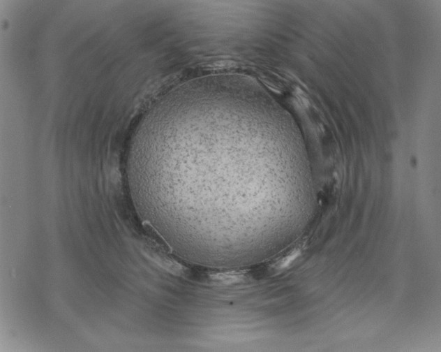 X0000076220516200610191536