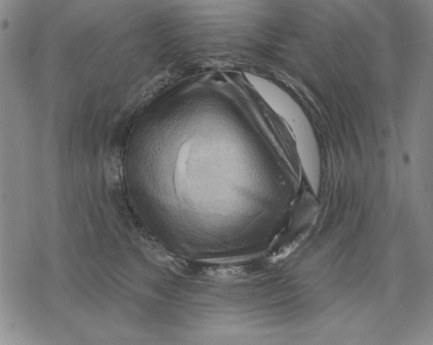 X0000076220517200610191536