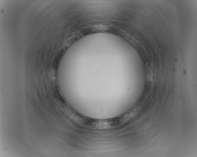 X0000076220518200610191536