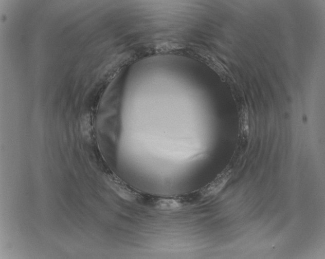 X0000076220519200610191536