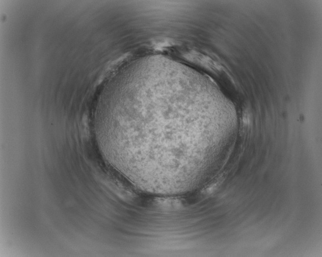 X0000076220520200610191536