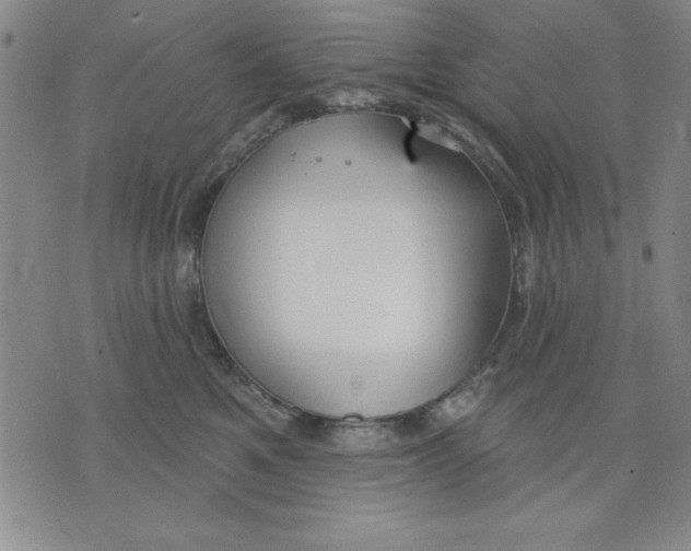 X0000076220521200610191536