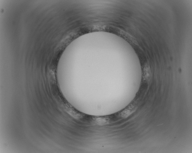 X0000076220522200610191536