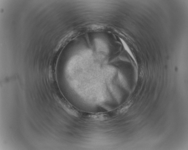 X0000076220524200610191536