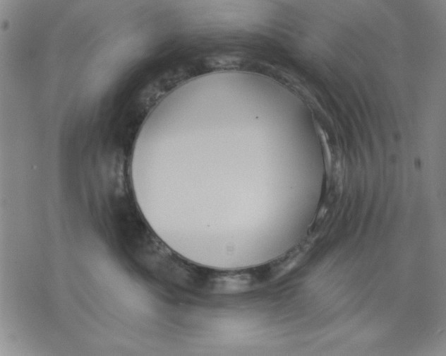 X0000076220525200610191536