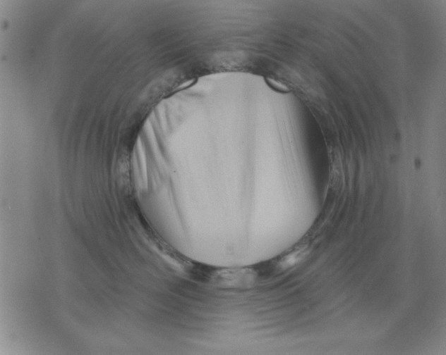 X0000076220526200610191536