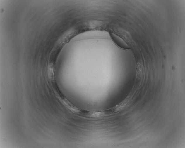 X0000076220527200610191536