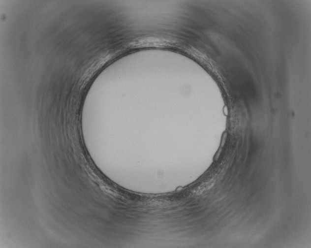 X0000076220529200610191535