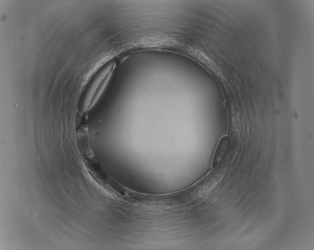 X0000076220530200610191535