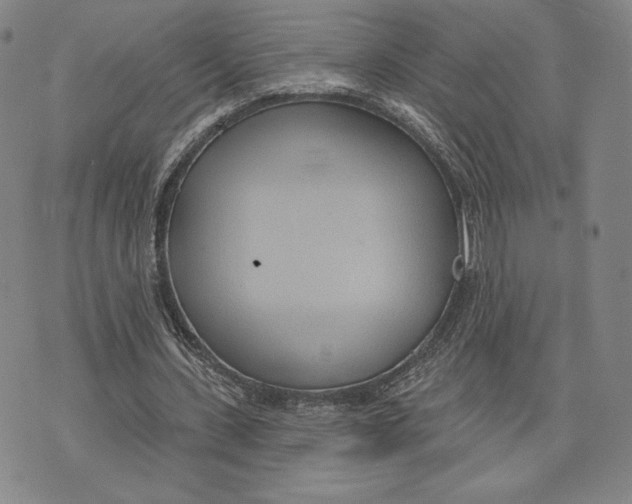 X0000076220531200610191535