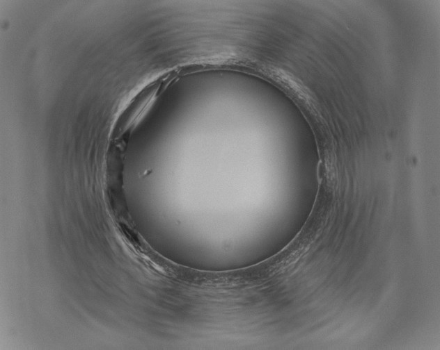 X0000076220532200610191535