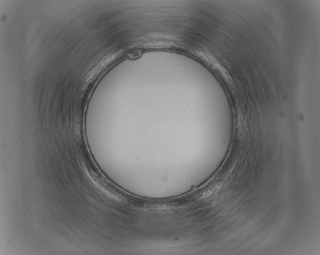 X0000076220533200610191535