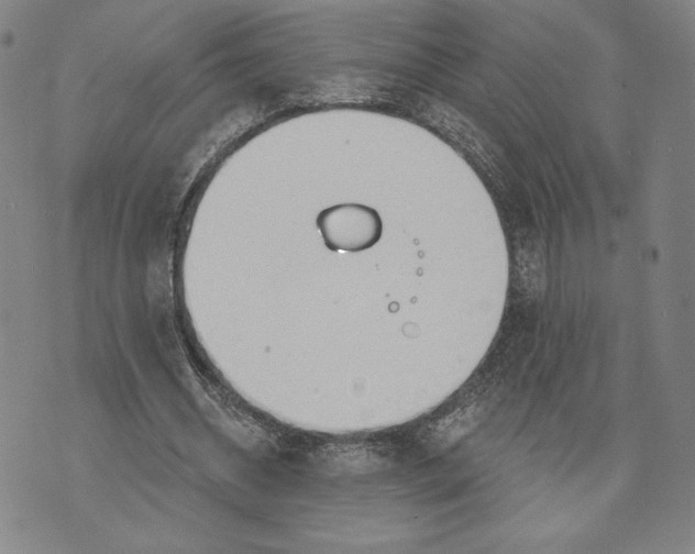 X0000076220534200610191535