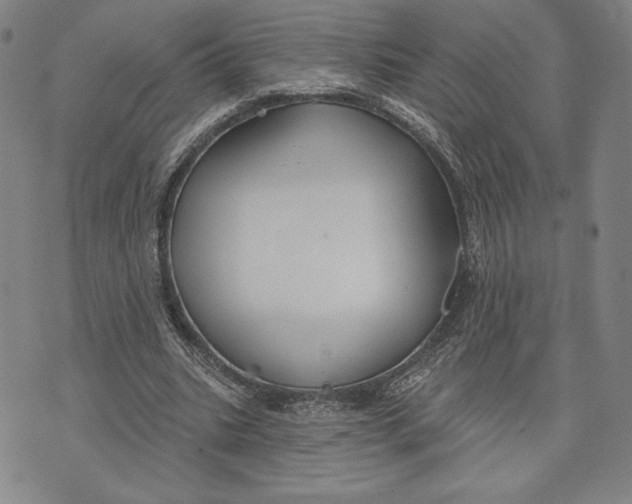 X0000076220535200610191535