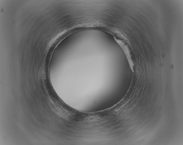 X0000076220536200610191535