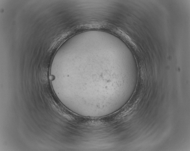 X0000076220537200610191535