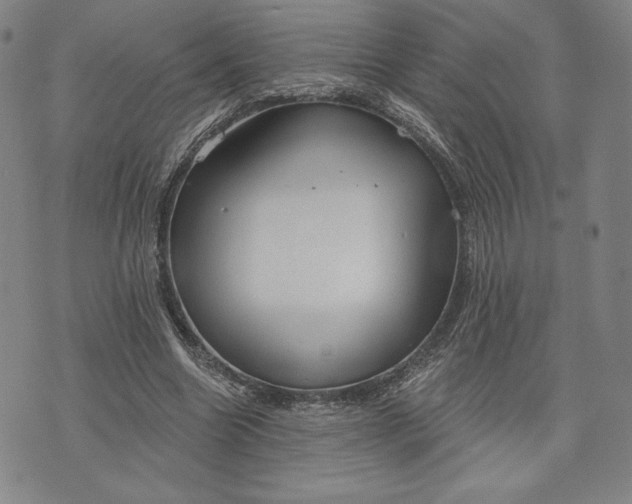 X0000076220538200610191535