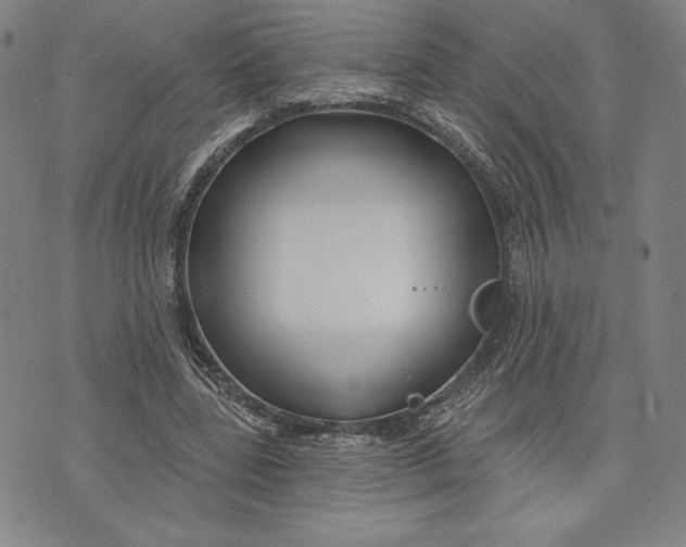 X0000076220539200610191535