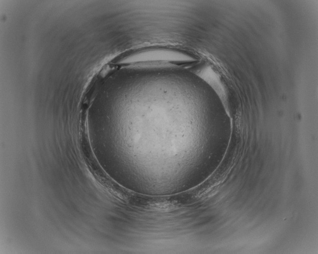 X0000076220540200610191535