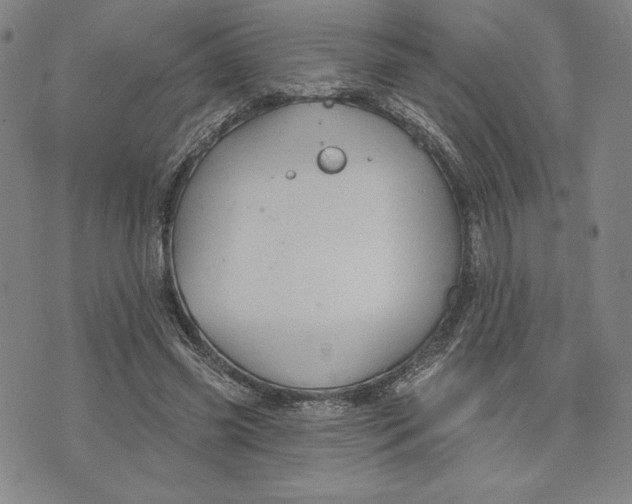 X0000076220541200610191535