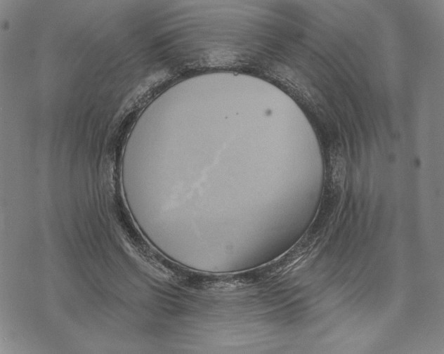 X0000076220542200610191535