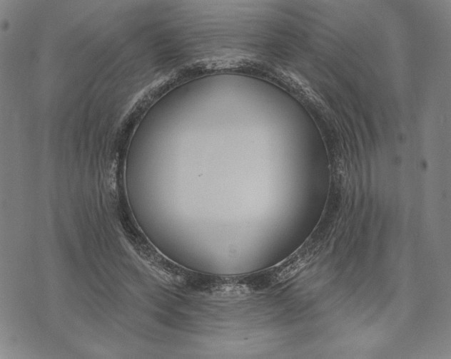 X0000076220543200610191535