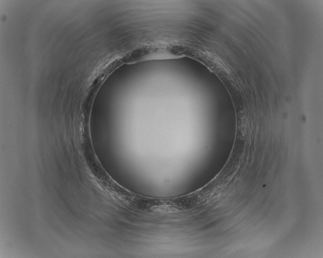 X0000076220544200610191535