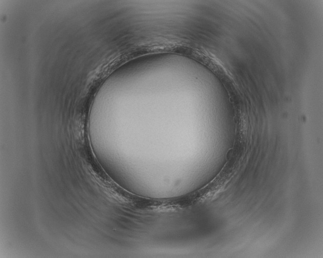 X0000076220545200610191535