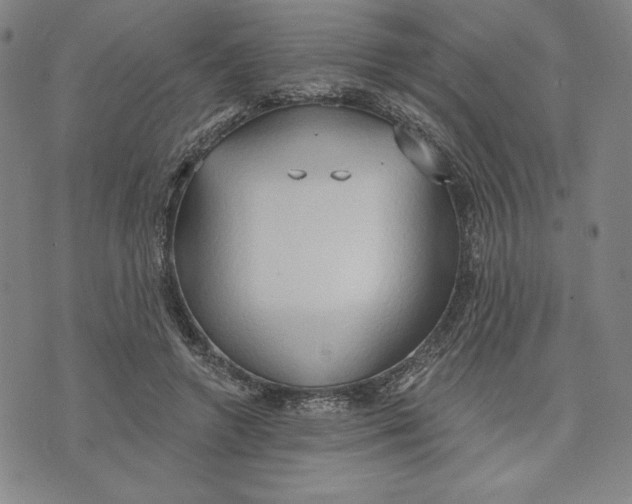 X0000076220546200610191535