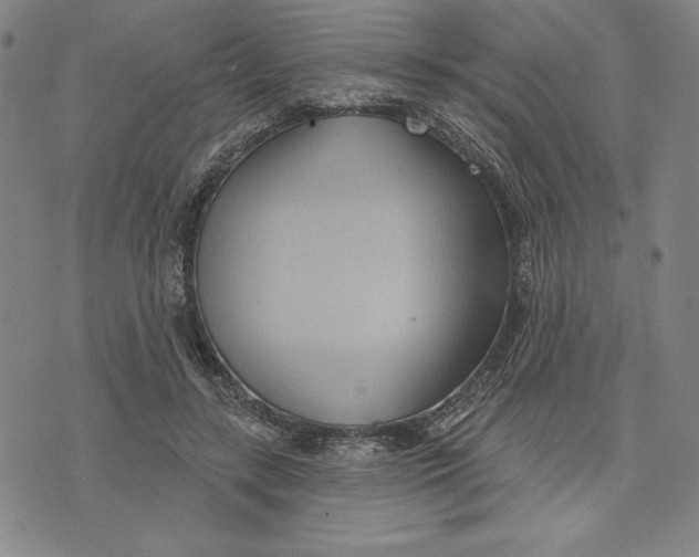 X0000076220547200610191535