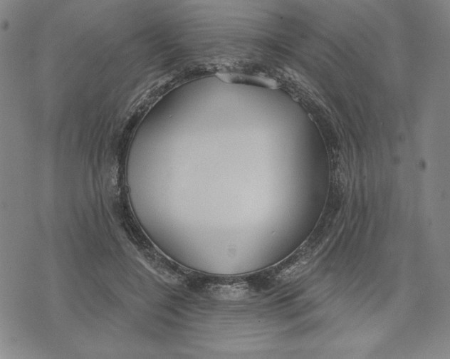 X0000076220548200610191535