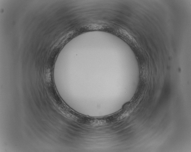 X0000076220549200610191535