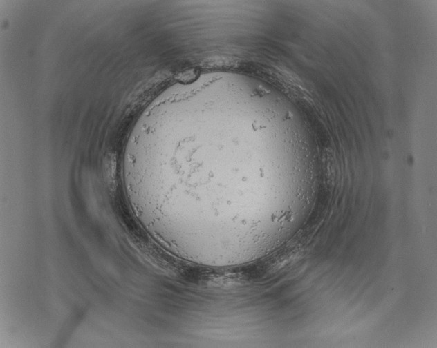 X0000076220550200610191535