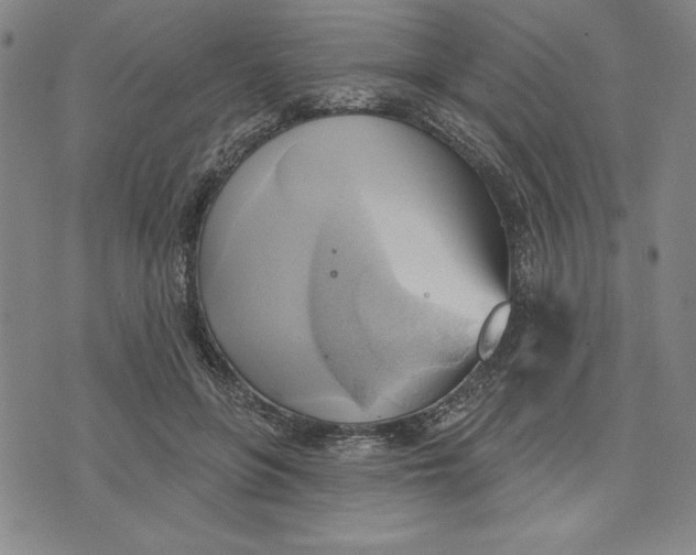 X0000076220551200610191535