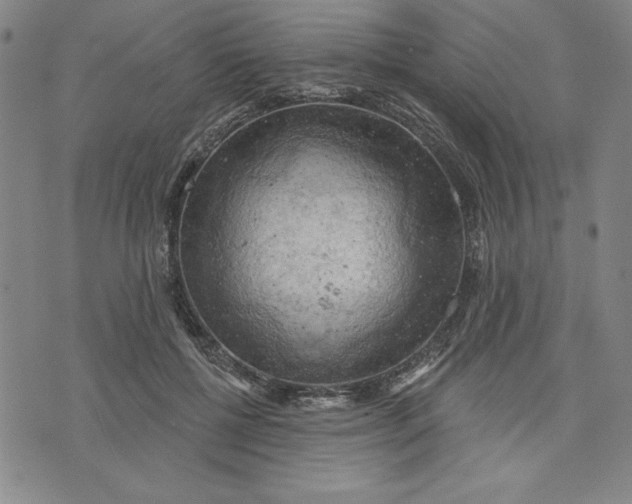 X0000076220552200610191535