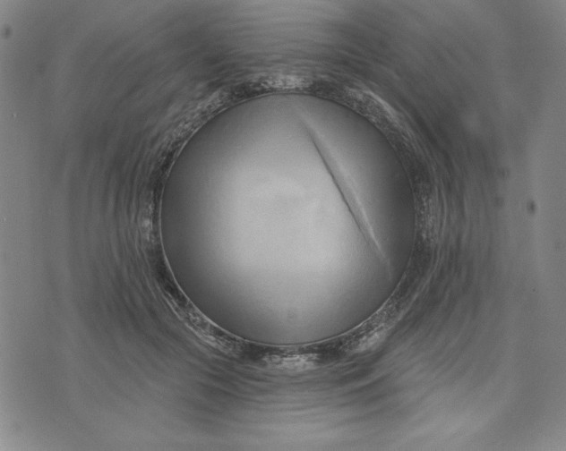 X0000076220553200610191535