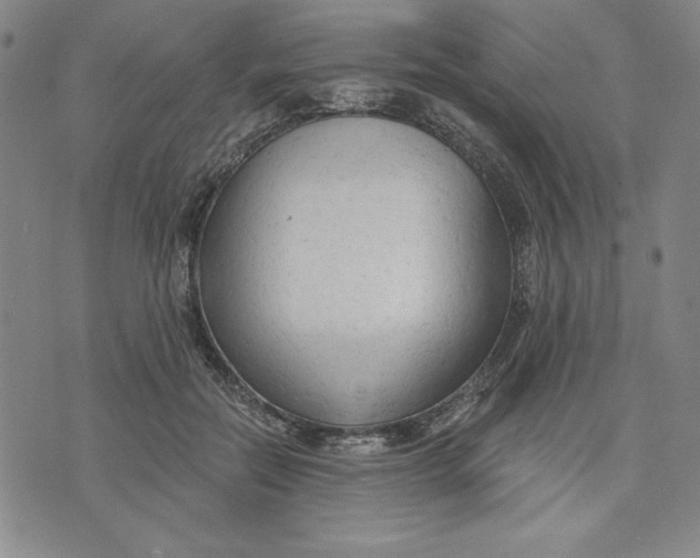 X0000076220554200610191535