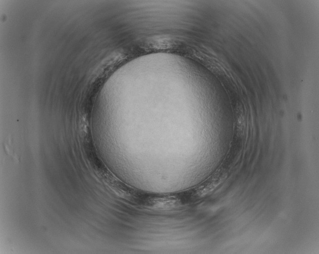 X0000076220555200610191535